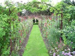 A garden at Helmington Hall Wallpaper