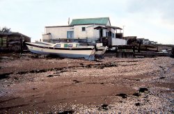 After 25 years I wonder if this is still there. Wallpaper