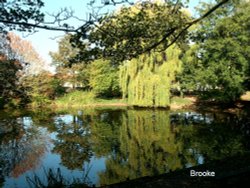 A Pond in Brooke Wallpaper