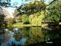 A Pond in Brooke