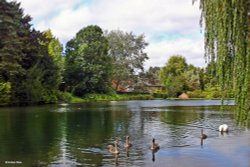 Ansty in Wiltshire Wallpaper