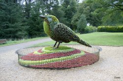 Kew Gardens Wallpaper