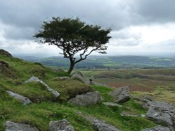 Dartmoor Wallpaper