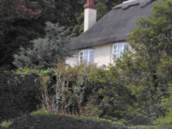 Thatched house in West Lulworth Wallpaper