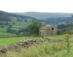 Wharfedale Wallpaper