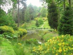 Leonardslee Gardens Wallpaper