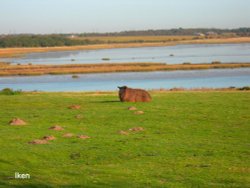 A view of Iken and the River Alde Wallpaper