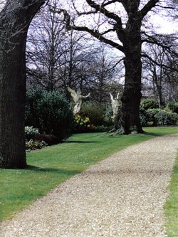 Angels behind the trees.