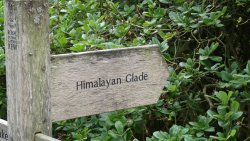 One of the many rustic signposts Wallpaper