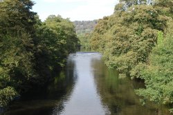 River Derwent Wallpaper
