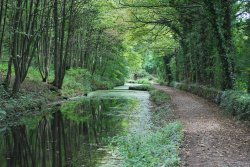 Cromford Canal Wallpaper