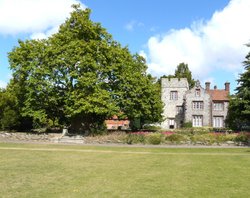 Tower House  and the Oriental Plane Tree in Westgate Gardens Wallpaper