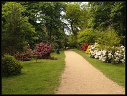 Path in Sheringham Park Wallpaper