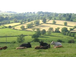 Peak District Wallpaper