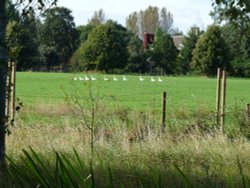 Taunton/Bridgwater Canal Wallpaper