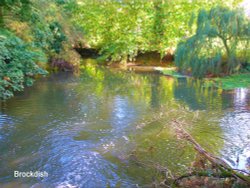 A view of Brockdish Wallpaper