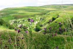 Yorkshire Dales Wallpaper