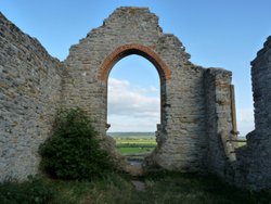 Burrow Mump Wallpaper