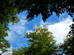 Break in the trees Wallpaper