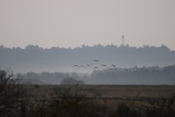 Early morning mist Wallpaper