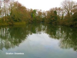 A view of Stratton Strawless Wallpaper