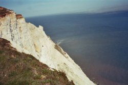 Eastbourne Wallpaper