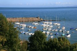 New Quay Harbour Wallpaper