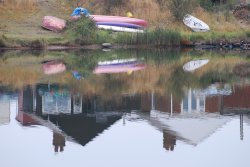 Reflections Wallpaper