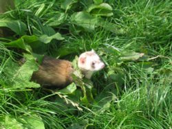 At Jimmys Farm Wallpaper