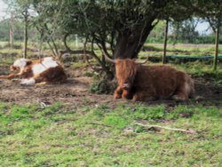 At Jimmys Farm Wallpaper