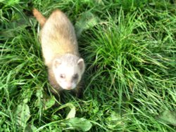 At Jimmys Farm Wallpaper