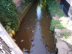 Stream running under the town Wallpaper