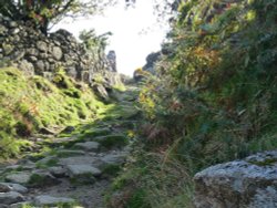 Buttern Lane Wallpaper