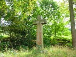 Shay Cross Wallpaper