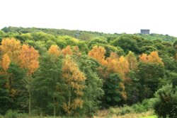 Autumn Colours. Wallpaper