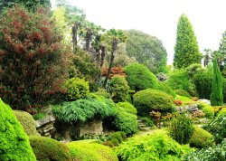 Leonardslee Gardens Wallpaper