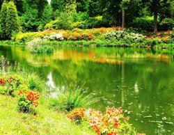 Leonardslee Gardens Wallpaper