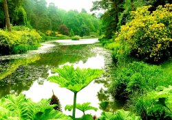 Leonardslee Gardens Wallpaper