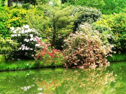 Leonardslee Gardens Wallpaper