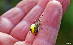 Shillingstone in Dorset Wallpaper