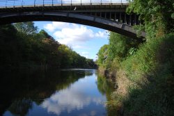 Rope swing Wallpaper