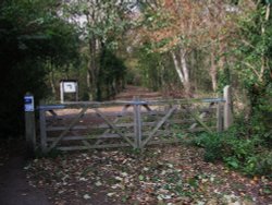 Gunton Gates