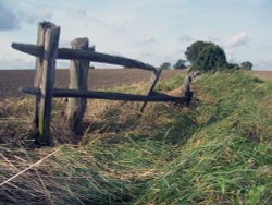  An old fence at Ulley