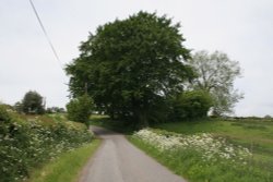 Wheat Hill