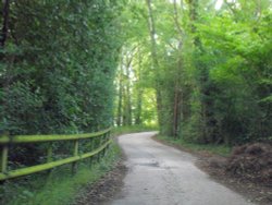Dorset Lane