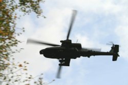 Seen flying over the Bluebird cafe, Coniston, Cumbria. Wallpaper