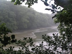 Frenchman's Creek and Cornish weather Wallpaper