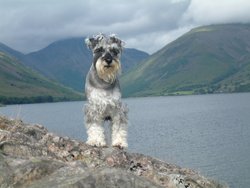 Dibble at Wastwater