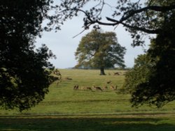 Raby Castle, Staindrop.