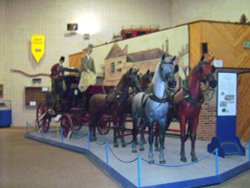 Mossman collection Wallpaper